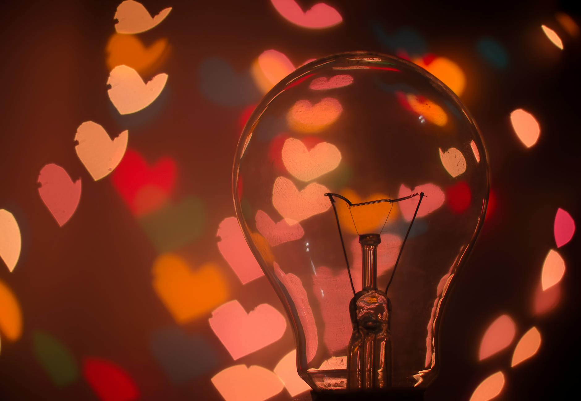 macro shot of light bulb